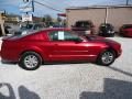 2007 Ford Mustang V6 Deluxe Coupe Photo 4