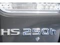 2010 Lexus HS 250h Hybrid Premium Photo 18