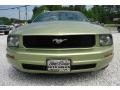 2005 Ford Mustang V6 Deluxe Coupe Photo 1