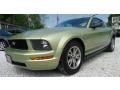 2005 Ford Mustang V6 Deluxe Coupe Photo 2