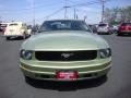 2005 Ford Mustang V6 Deluxe Coupe Photo 2