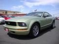 2005 Ford Mustang V6 Deluxe Coupe Photo 3