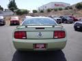 2005 Ford Mustang V6 Deluxe Coupe Photo 6