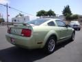 2005 Ford Mustang V6 Deluxe Coupe Photo 7
