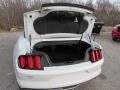 2015 Ford Mustang EcoBoost Premium Convertible Photo 10
