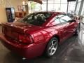 2003 Ford Mustang Cobra Coupe Photo 4