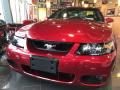 2003 Ford Mustang Cobra Coupe Photo 6