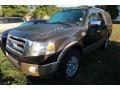 2013 Ford Expedition King Ranch 4x4 Photo 3
