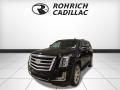 2017 Cadillac Escalade Luxury 4WD Photo 1