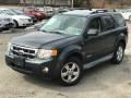 2008 Ford Escape XLT V6 4WD Photo 1