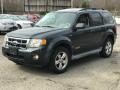 2008 Ford Escape XLT V6 4WD Photo 2