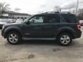 2008 Ford Escape XLT V6 4WD Photo 3