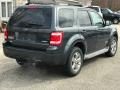 2008 Ford Escape XLT V6 4WD Photo 7