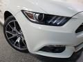 2015 Ford Mustang 50th Anniversary GT Coupe Photo 14