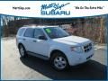 2011 Ford Escape XLT V6 4WD Photo 1
