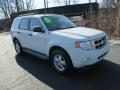 2011 Ford Escape XLT V6 4WD Photo 4