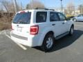 2011 Ford Escape XLT V6 4WD Photo 6
