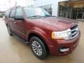 2017 Ford Expedition XLT 4x4 Photo 9