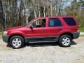 2005 Ford Escape XLT V6 4WD Photo 5