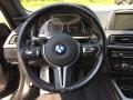 2015 BMW M6 Coupe Photo 15