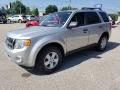 2009 Ford Escape XLT 4WD Photo 6