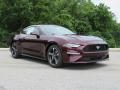 2018 Ford Mustang EcoBoost Fastback Photo 1