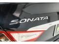 2014 Hyundai Sonata SE Photo 7