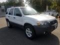 2007 Ford Escape XLT V6 4WD Photo 1