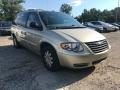 2007 Chrysler Town & Country Touring Photo 8