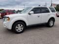 2011 Ford Escape Limited V6 Photo 1