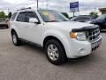 2011 Ford Escape Limited V6 Photo 2