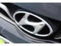 2013 Hyundai Elantra Limited Photo 4