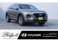 2019 Hyundai Santa Fe SEL Plus Photo 1