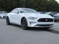 2019 Ford Mustang EcoBoost Premium Fastback Photo 1