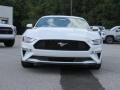 2019 Ford Mustang EcoBoost Premium Fastback Photo 2