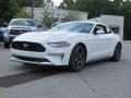 2019 Ford Mustang EcoBoost Premium Fastback Photo 3