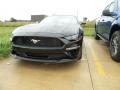 2019 Ford Mustang EcoBoost Premium Fastback Photo 1