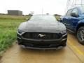 2019 Ford Mustang EcoBoost Premium Fastback Photo 2