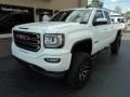 2017 GMC Sierra 1500 Elevation Edition Double Cab 4WD Photo 2
