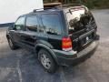2005 Ford Escape XLT V6 4WD Photo 2