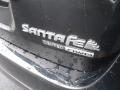 2010 Hyundai Santa Fe Limited 4WD Photo 6