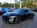 2019 Ford Mustang GT Fastback Photo 1