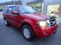 2014 Ford Expedition Limited 4x4 Photo 9