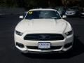 2015 Ford Mustang 50th Anniversary GT Coupe Photo 8