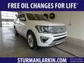 2019 Ford Expedition Platinum 4x4 Photo 1