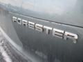 2009 Subaru Forester 2.5 X Premium Photo 3