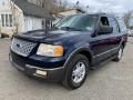 2004 Ford Expedition XLT 4x4 Photo 22
