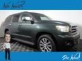 2008 Toyota Sequoia Limited 4WD Photo 1