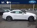 2019 Ford Mustang EcoBoost Fastback Photo 1