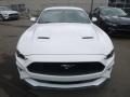 2019 Ford Mustang EcoBoost Fastback Photo 4